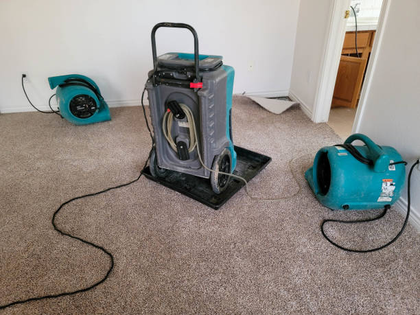 Best Basement water damage restoration  in Meyersdale, PA