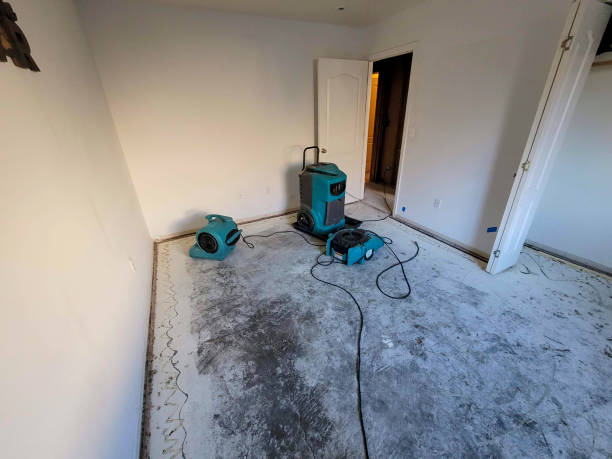 Best Ceiling water damage repair  in Meyersdale, PA