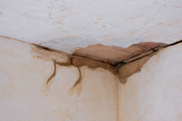Best Professional water damage repair  in Meyersdale, PA