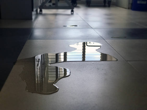 Best Carpet water damage restoration  in Meyersdale, PA