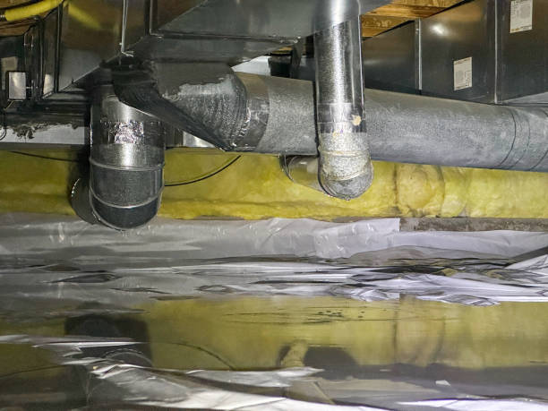 Best Water damage contractors near me  in Meyersdale, PA
