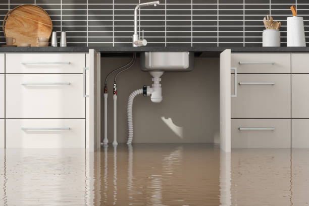 Best Emergency water extraction  in Meyersdale, PA