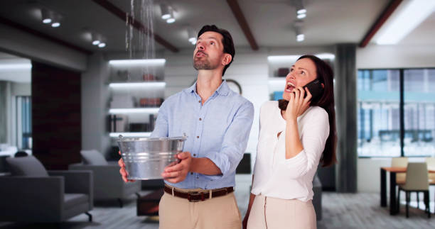 Best Sewage cleanup and water damage restoration  in Meyersdale, PA