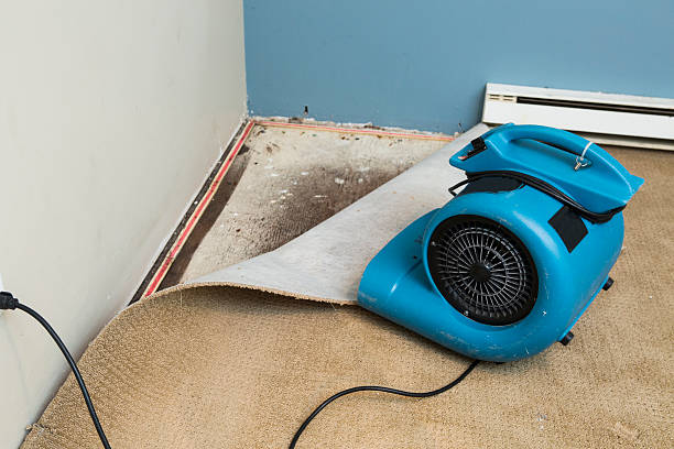 Best 24/7 water damage repair  in Meyersdale, PA